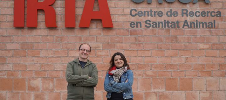 El primer biobanco de organoides de animales de granja de España se instalará en el IRTA