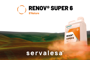 Renov Super 6 L1I 375*250 17-31/5