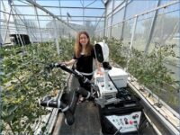 Desarrollan un robot autónomo capaz de recoger frutas y verduras de manera selectiva
