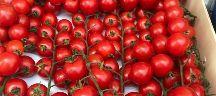 Piensos para rumiantes a partir de subproducto de tomate cherry