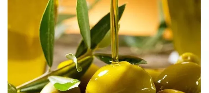 Se busca mejorar la producción del olivar gallego
