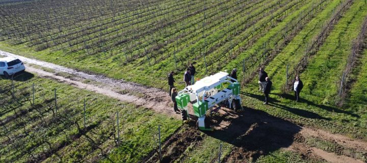 Eficacia de la agrorobótica en el cuidado del suelo de la viña