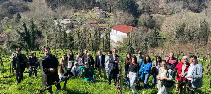 Ecospherewines, mejorar los paisajes vitivinícolas como recurso turístico