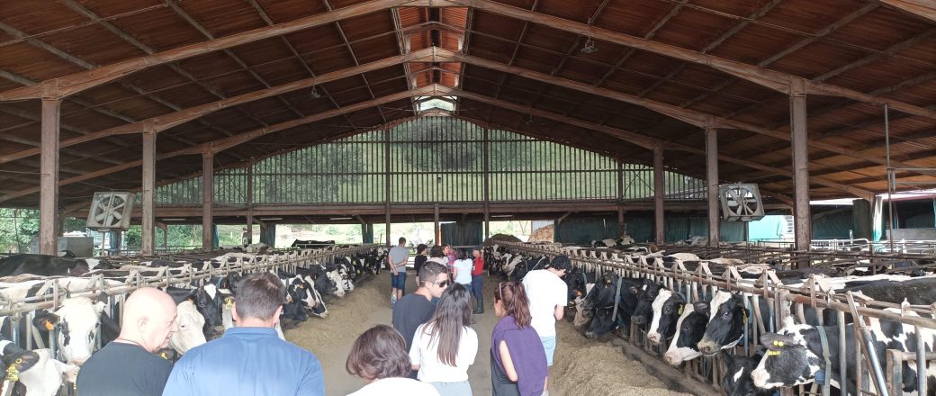 El sector del vacuno de leche europeo visita el País Vasco en busca de las mejores técnicas